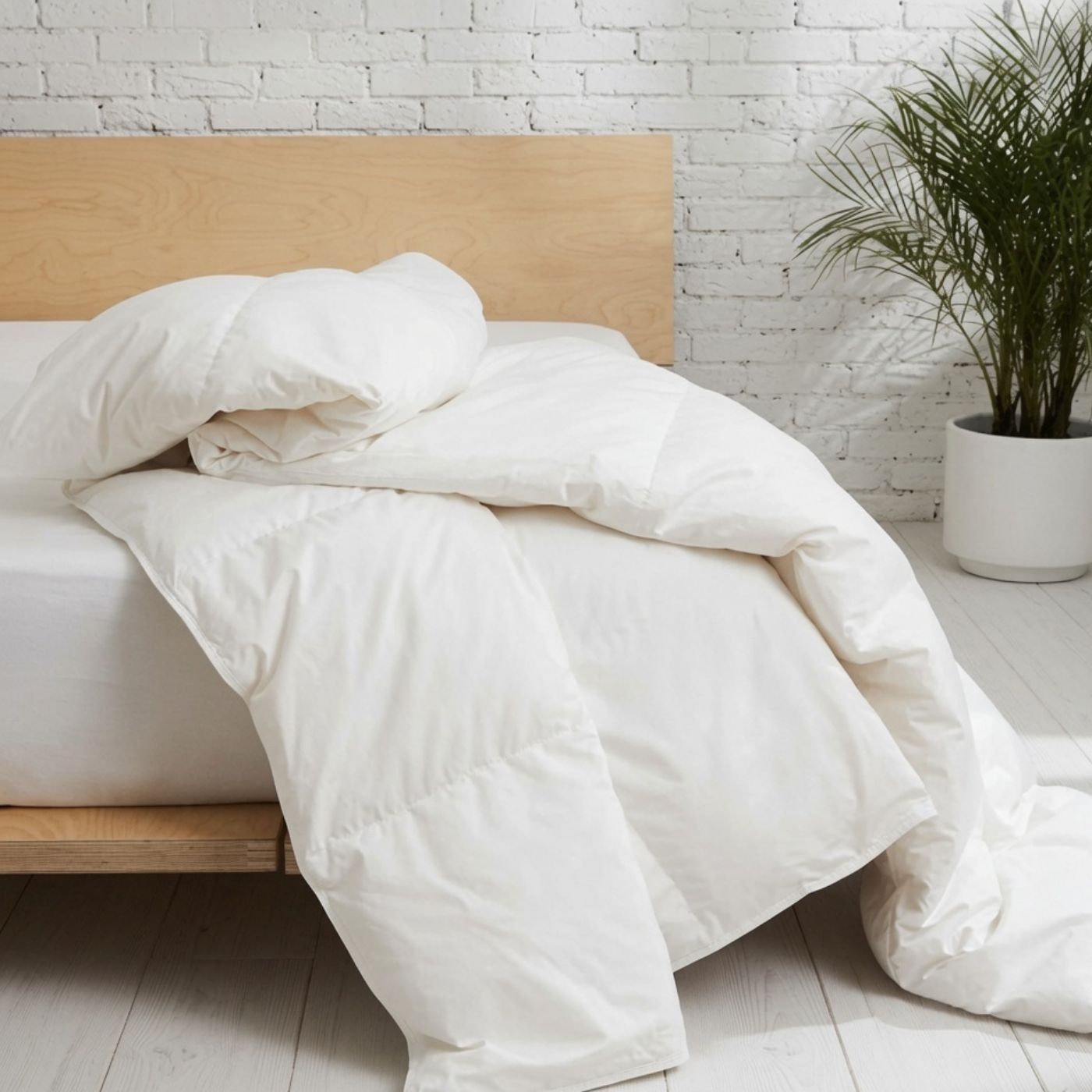 CrispWeave Cotton Snug Comforter