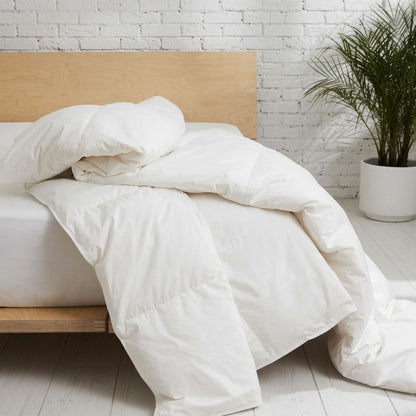 CrispWeave Cotton Snug Comforter